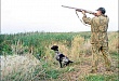 Внесены изменения в сроки осуществления охоты в общедоступных и закрепленных охотничьих угодьях Тюменской области